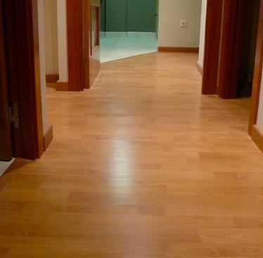 limpieza parquet