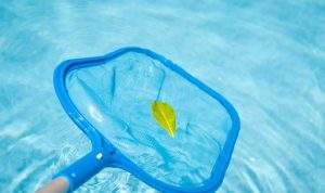 Cómo limpiar la piscina verde Cómo limpiar la piscina verde