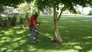 limpieza jardines