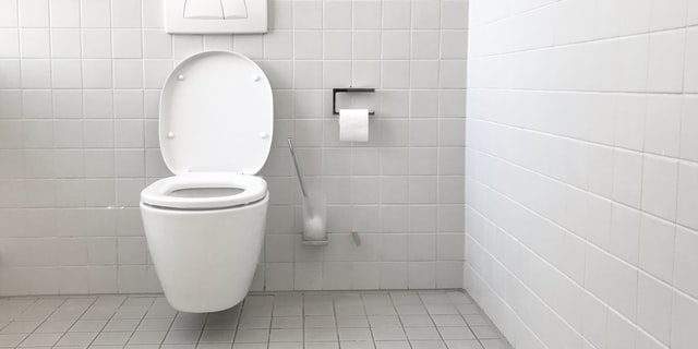 Cómo limpiar wc negro